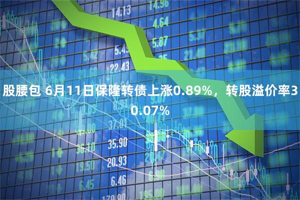 股腰包 6月11日保隆转债上涨0.89%，转股溢价率30.07%